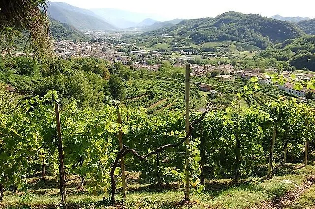 Casa Fiorina Bed & Breakfast Miane